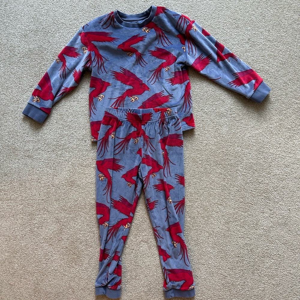 Warner Bros Blue and Red Dinosaur Pajama Set